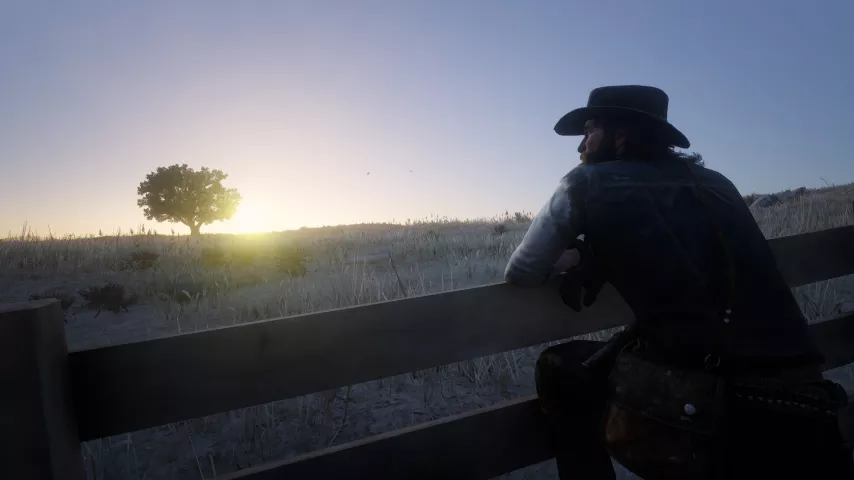 Red Dead Redemption 2 Геймплей