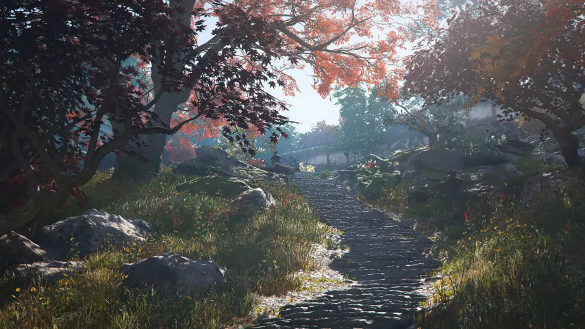 Assassin's Creed Shadows 08