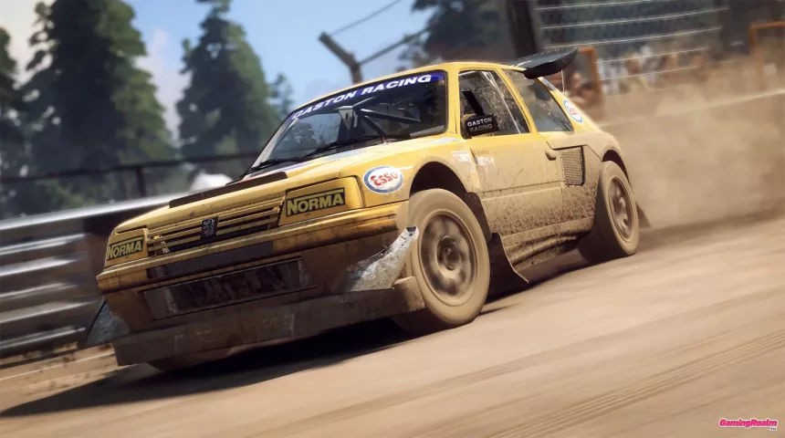 dirt-rally-20_03