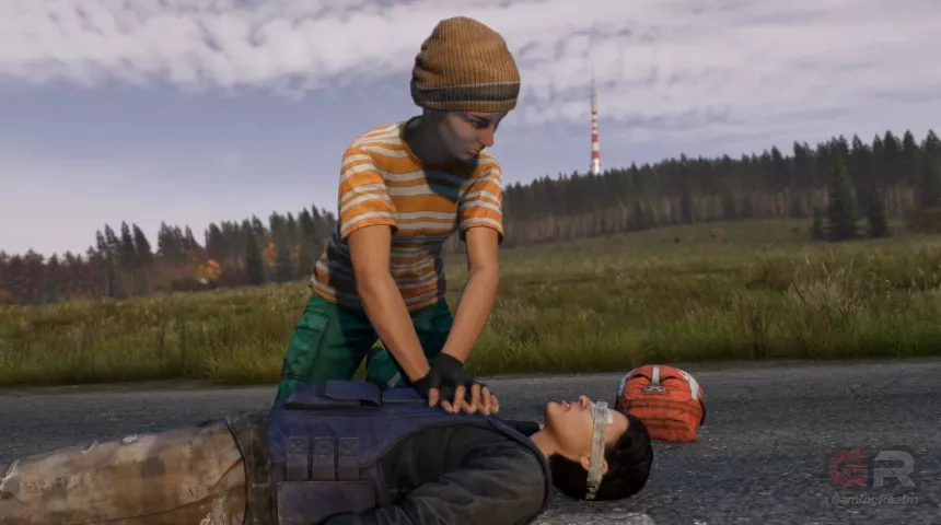 DayZ 02