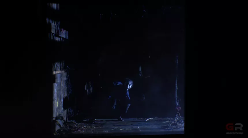 The Twilight Project 03