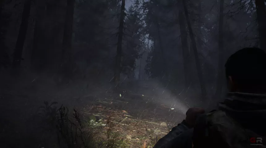 Whispers in the fog 04