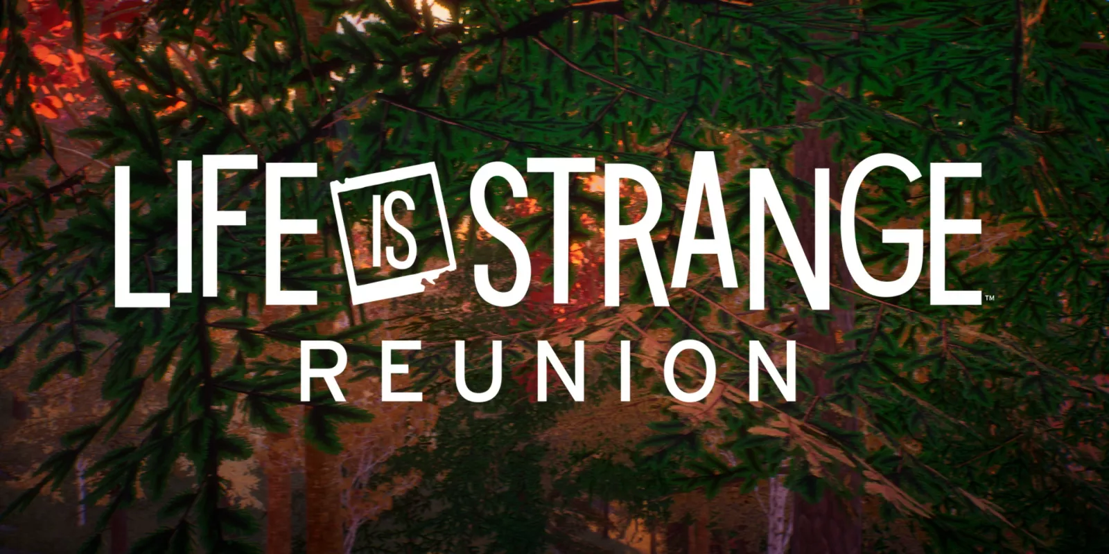 Life is Strange: Reunion – Исчерпывающее руководство по возвращению легендарного дуэта