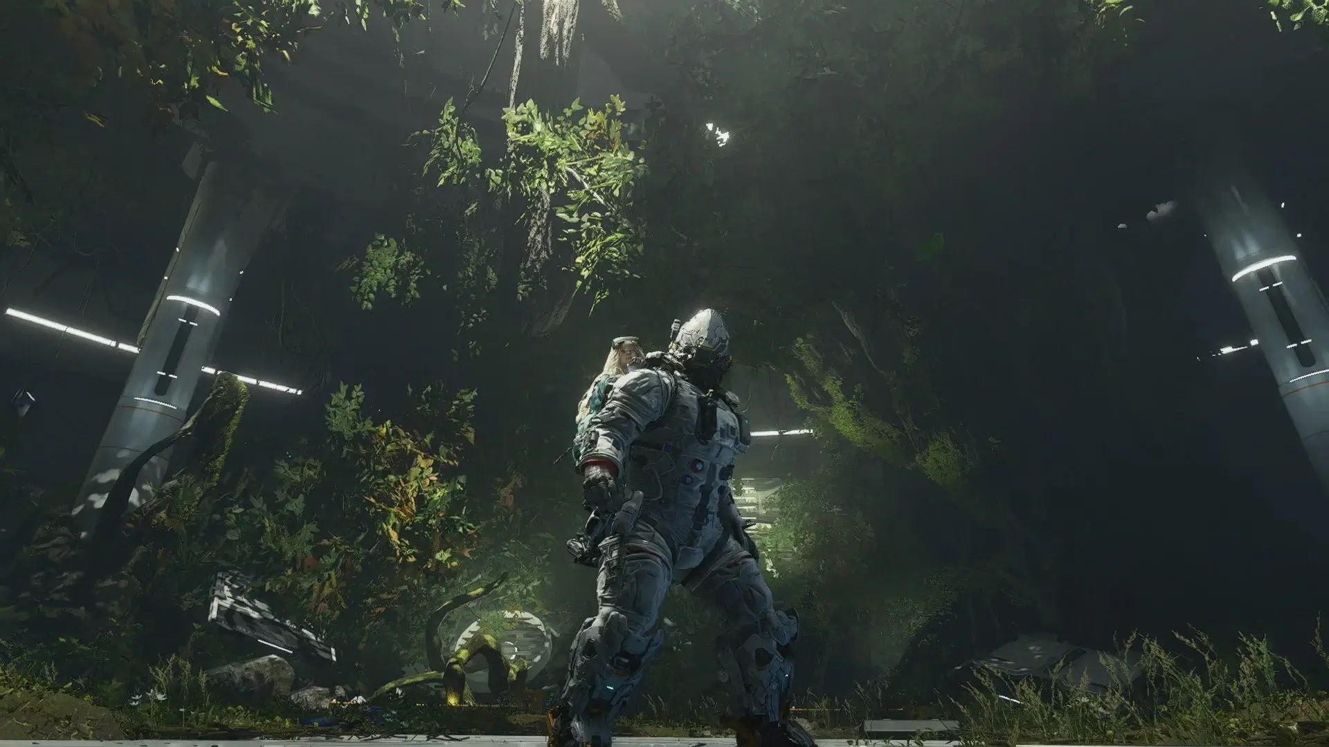 Сектор 3 – Терра-купол