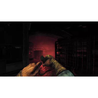 Amnesia: The Bunker Standard Edition