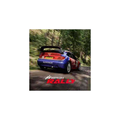 Assetto Corsa Rally Аренда аккаунта Steam